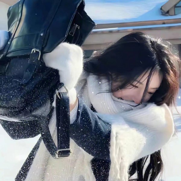 王子的本命是反派大小姐
